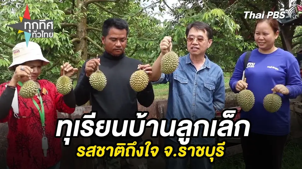 ทุเรียนบ้านลูกเล็กรสชาติถึงใจ จ.ราชบุรี
