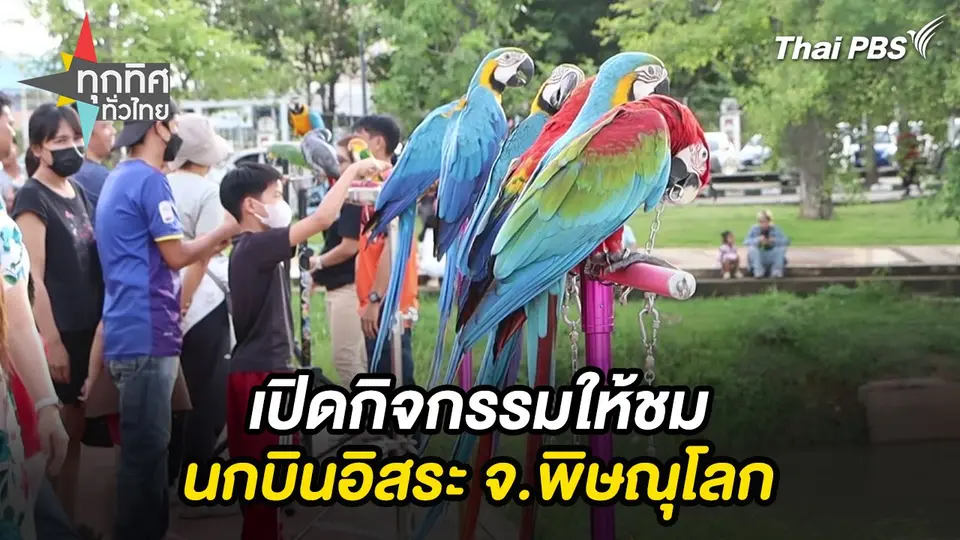 เปิดกิจกรรมให้ชมนกบินอิสระ จ.พิษณุโลก