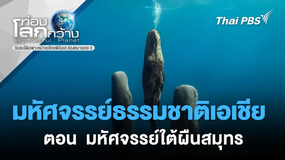 ท่องโลกกว้าง