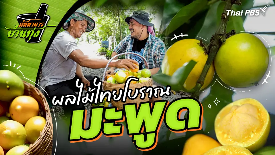 มะพูด