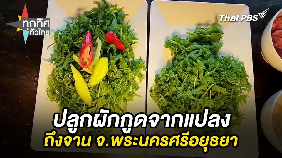 ทุกทิศทั่วไทย
