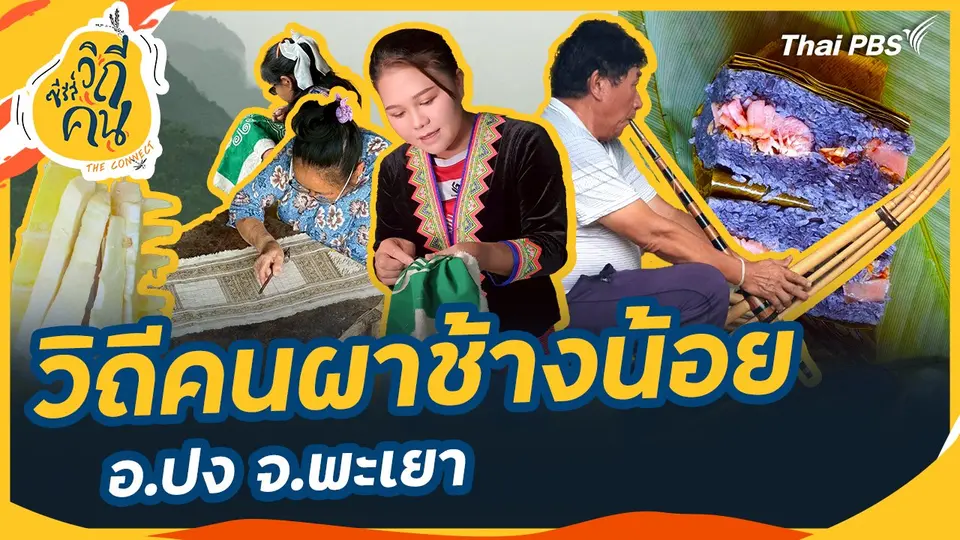 วิถีคนผาช้างน้อย  อ.ปง จ.พะเยา