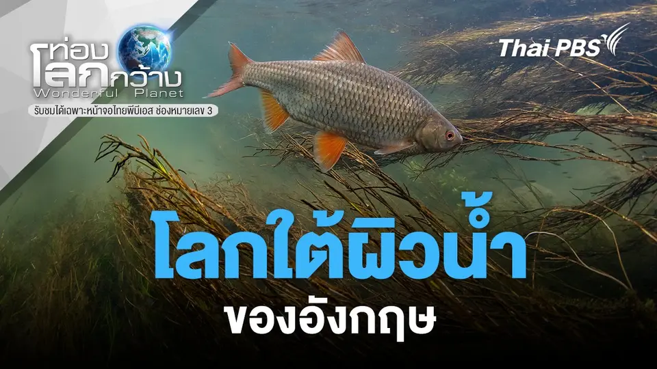 ท่องโลกกว้าง