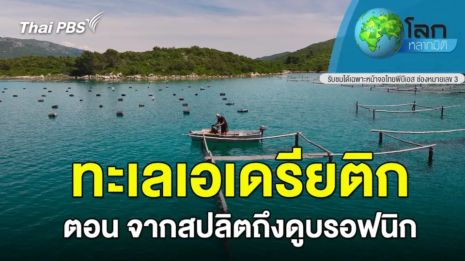 โลกหลากมิติ