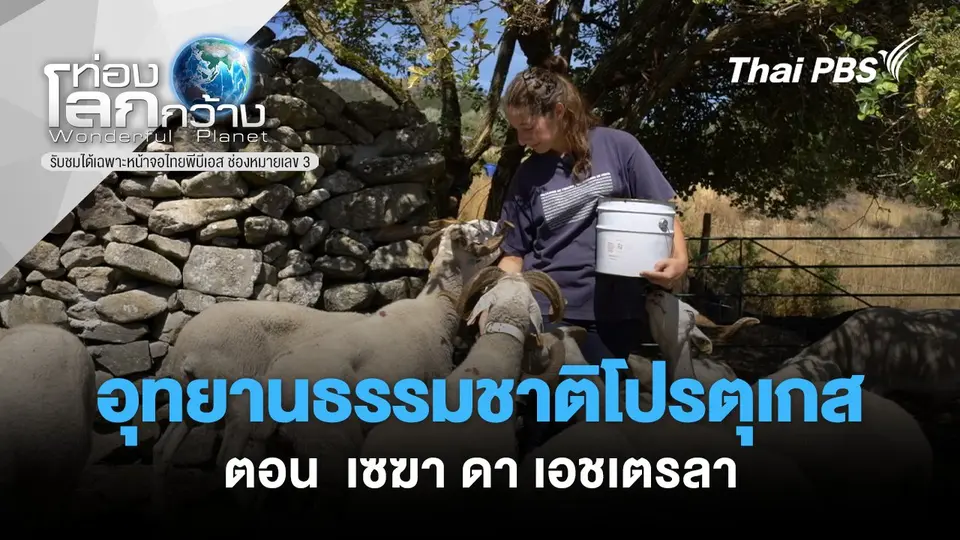 ท่องโลกกว้าง