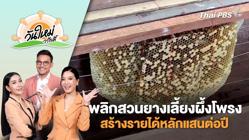 เกษตรกรอุทัยธานีพลิกสวนยางหันมาเลี้ยงผึ้งโพรงสร้างรายได้หลักแสนต่อปี | วันใหม่วาไรตี้ | 14 พ.ค. 68