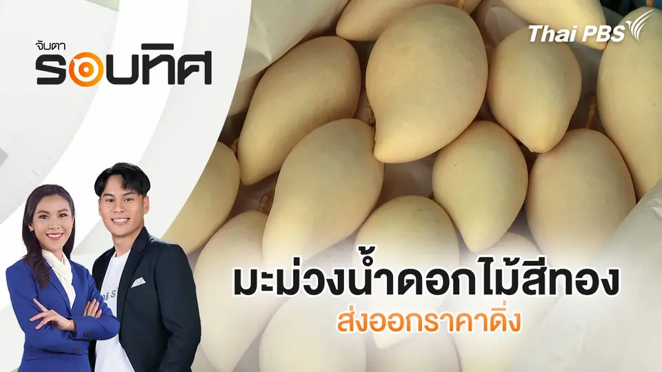 มะม่วงน้ำดอกไม้สีทองส่งออกราคาดิ่ง | จับตารอบทิศ | 21 พ.ค. 68