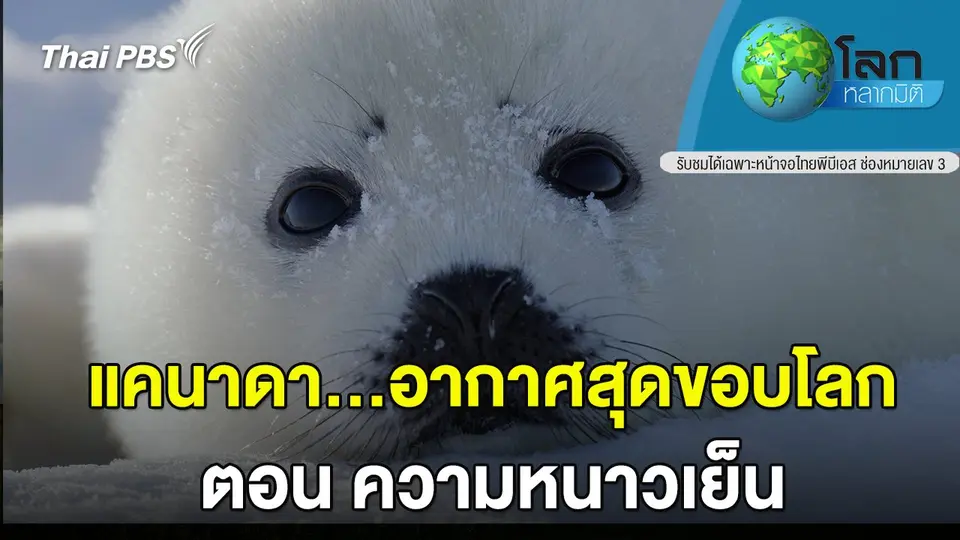 โลกหลากมิติ