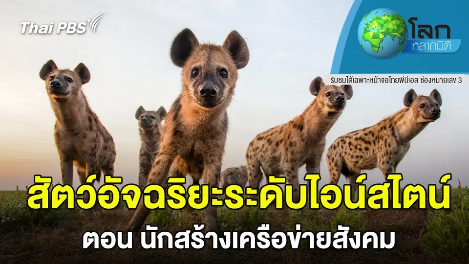 โลกหลากมิติ