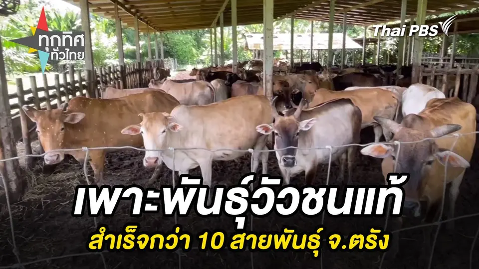 ทุกทิศทั่วไทย