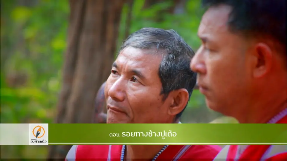 รอยทางช้างปูเต้อ