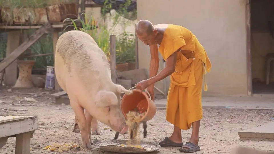 ออมบุญ
