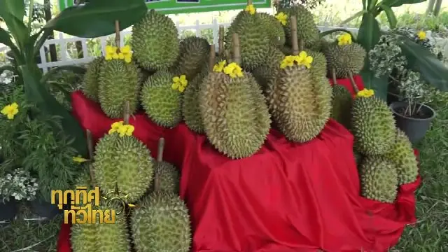 ประเด็นข่าว (18 เม.ย. 60)