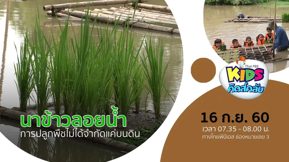 นาข้าวลอยน้ำ
