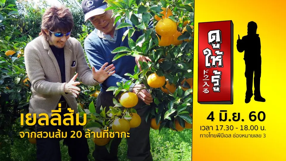 เยลลี่ส้ม จากสวนส้ม 20 ล้านที่ซากะ