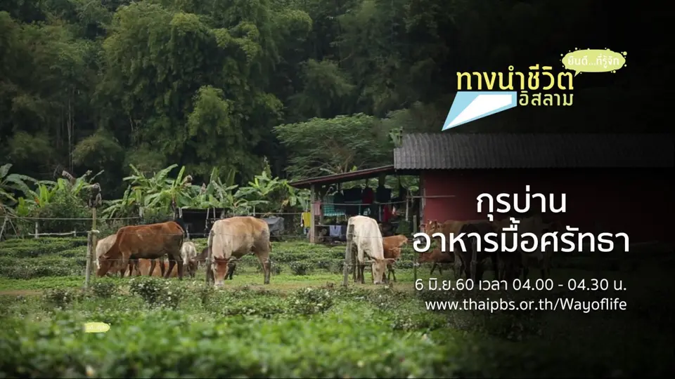 กุรบ่าน อาหารมื้อศรัทธา