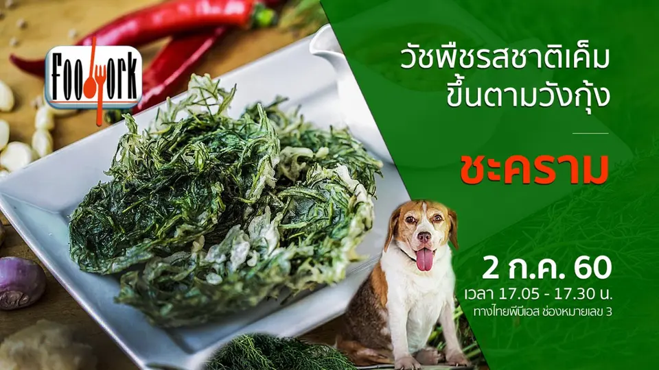 ชะคราม