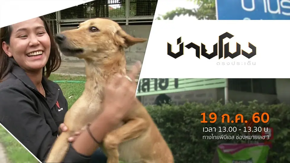 ประเด็นข่าว ( 19 ก.ค. 60)