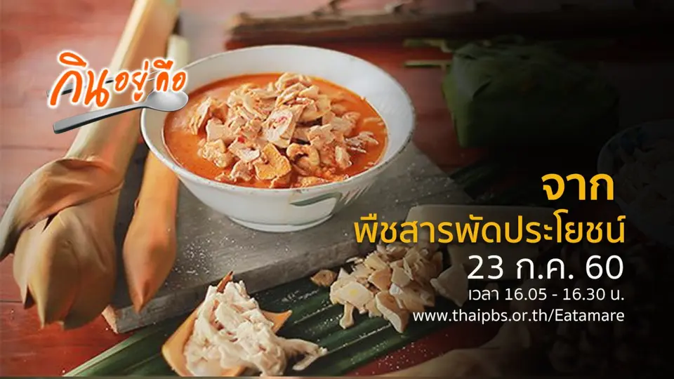 จาก...พืชสารพัดประโยชน์