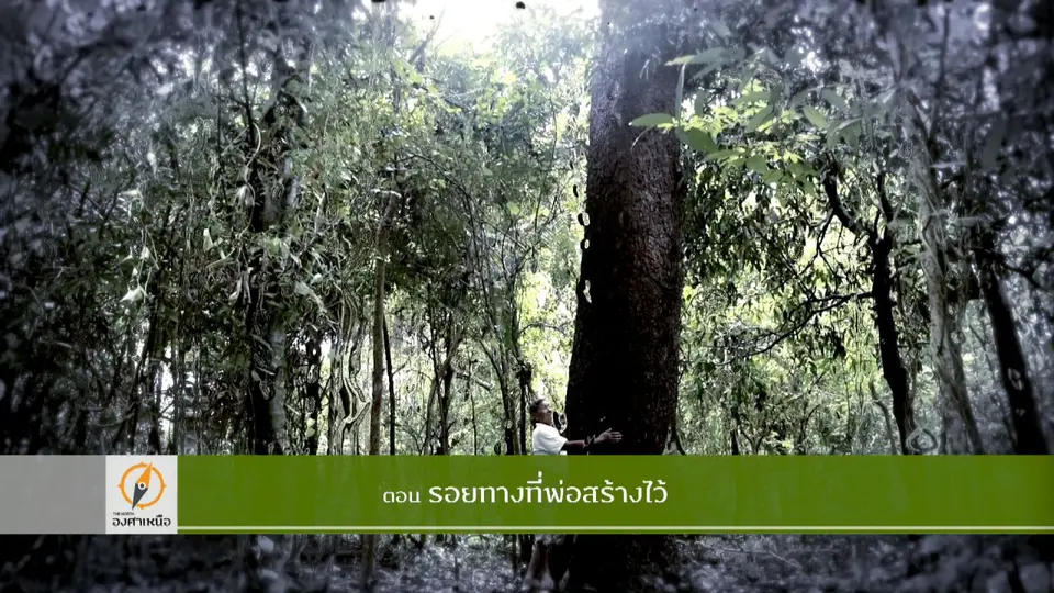 รอยทางที่พ่อสร้างไว้​​