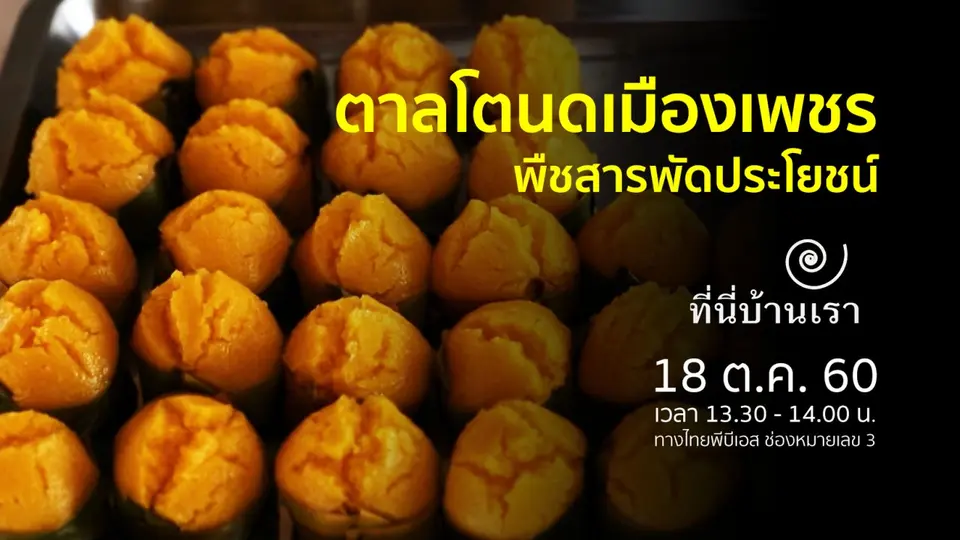 ตาลโตนดเมืองเพชรบุรี