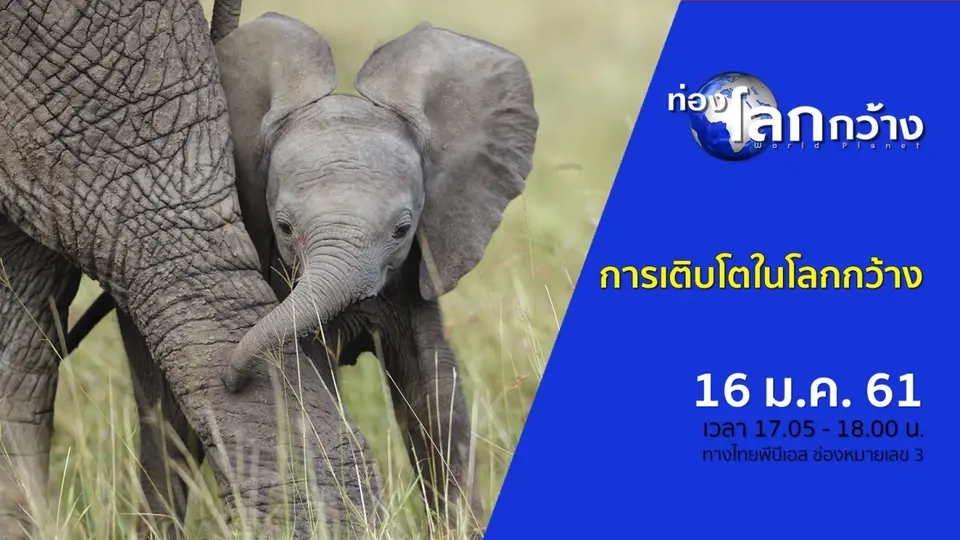 ท่องโลกกว้าง