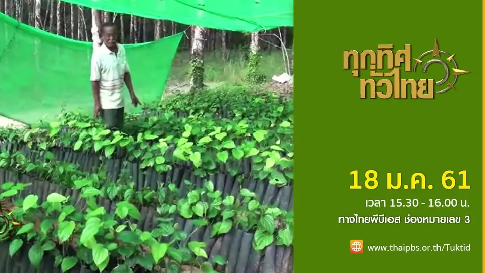 ประเด็นข่าว (18 ม.ค. 61)