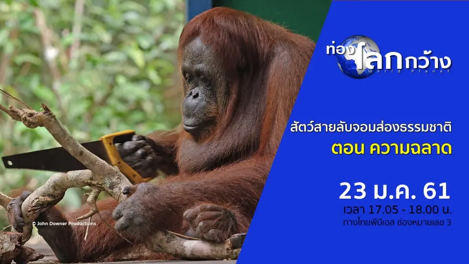 ท่องโลกกว้าง