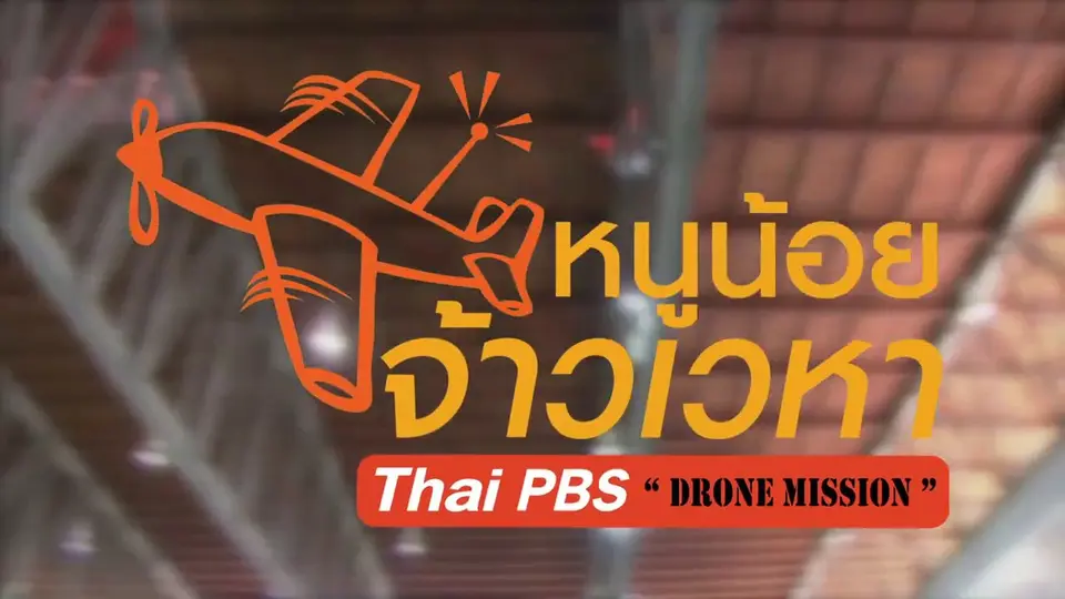หนูน้อยจ้าวเวหา