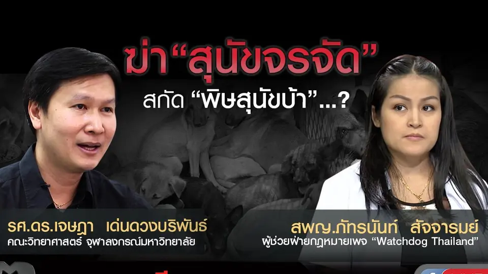 ฆ่า “สุนัขจรจัด” สกัด “พิษสุนัขบ้า” ...?
