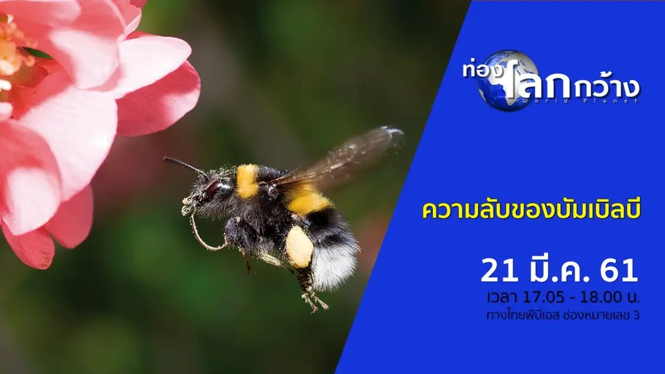 ท่องโลกกว้าง