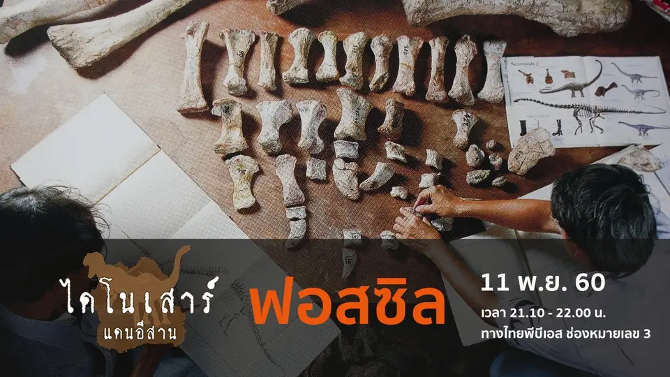 ไดโนเสาร์แดนอีสาน