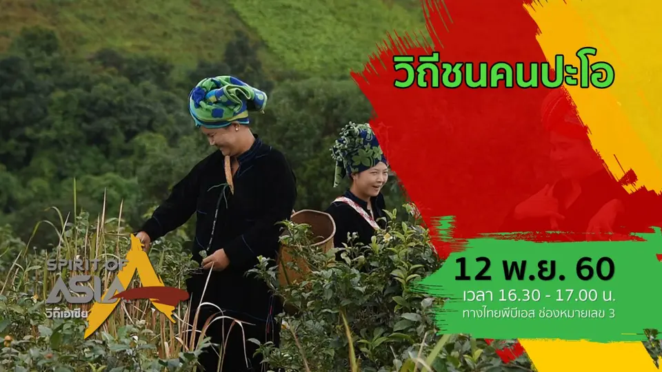 วิถีชนคนปะโอ