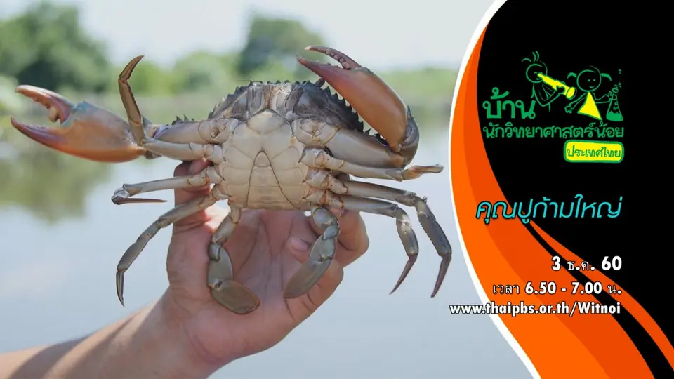 คุณปูก้ามใหญ่