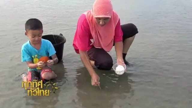 ประเด็นข่าว (13 ธ.ค. 60)