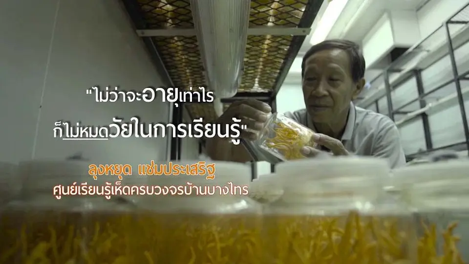ลุงหยุดเห็ดเงินล้าน / ภูมิปัญญามะพร้าวไทยโกอินเตอร์