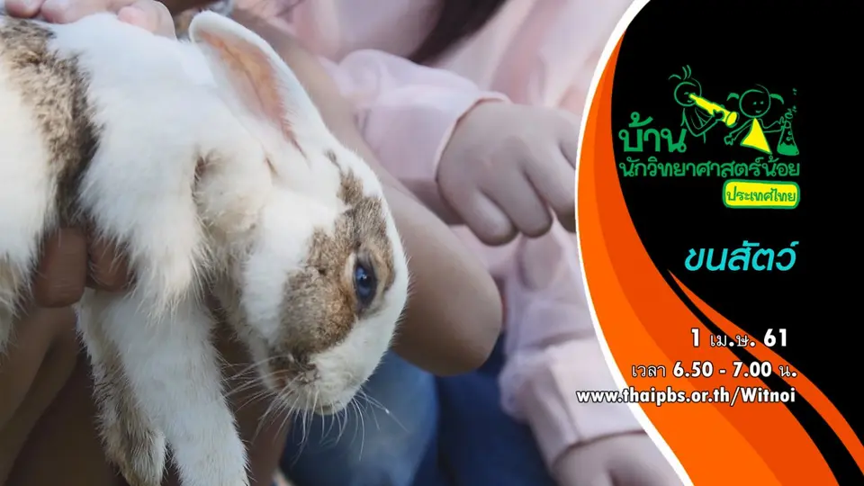 บ้านนักวิทยาศาสตร์น้อย