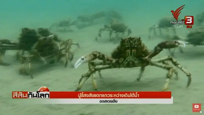 ประเด็นข่าว (14 เม.ย. 61)