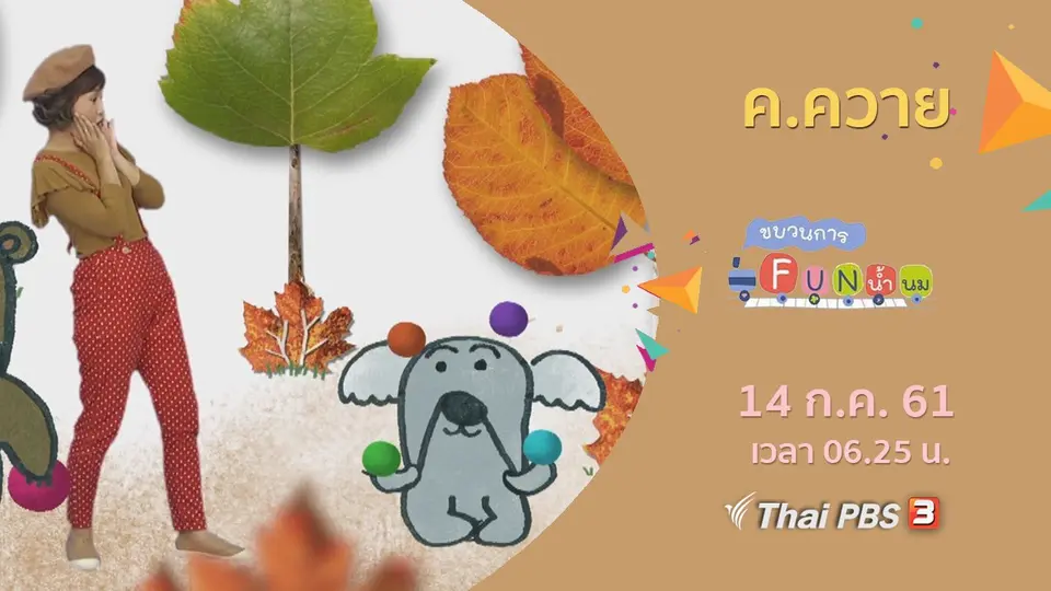 ค.ควาย