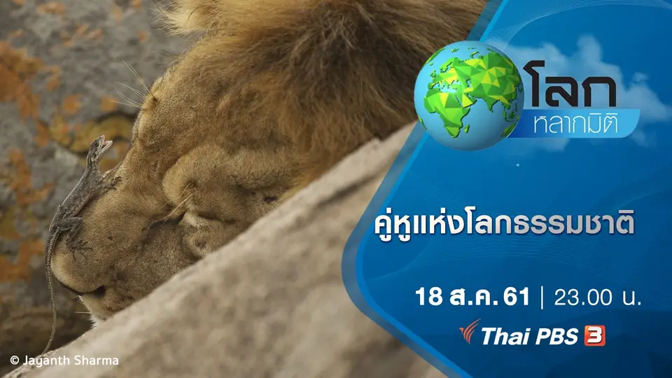 โลกหลากมิติ