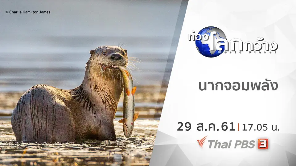 ท่องโลกกว้าง