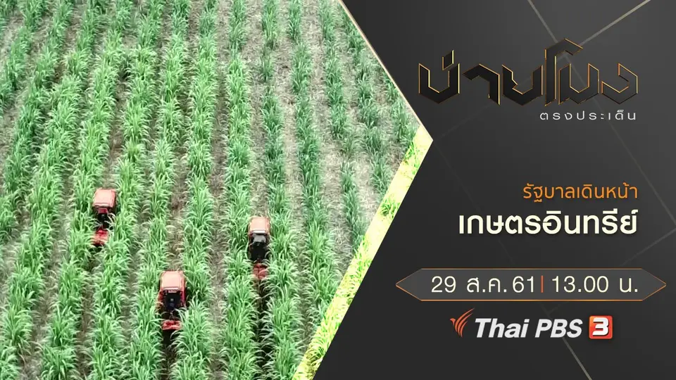 ประเด็นข่าว ( 29 ส.ค. 61)
