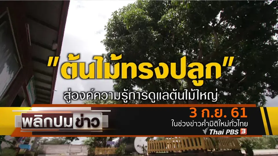 ต้นไม้ทรงปลูก สู่องค์ความรู้การดูแลต้นไม้ใหญ่