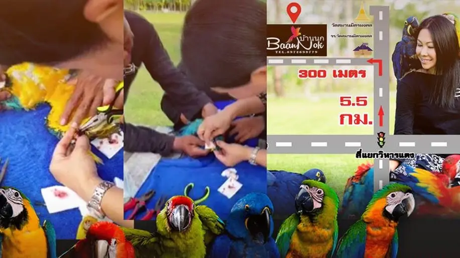 ตรวจสอบ "บ้านนก" จ.สระบุรี รักษาถูกต้องหรือไม่ ?
