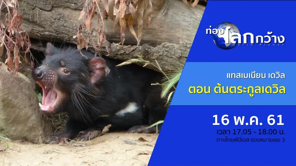 ท่องโลกกว้าง