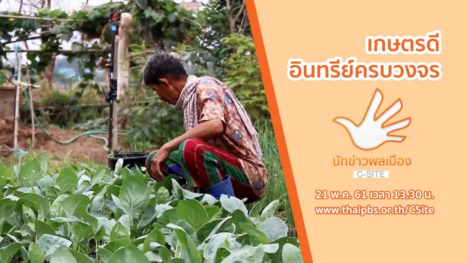 นักข่าวพลเมือง C-Site