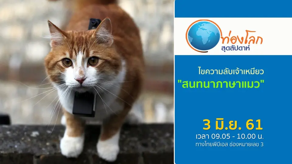 ท่องโลกสุดสัปดาห์
