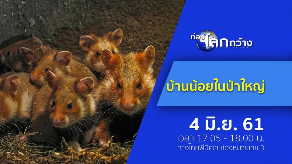 ท่องโลกกว้าง
