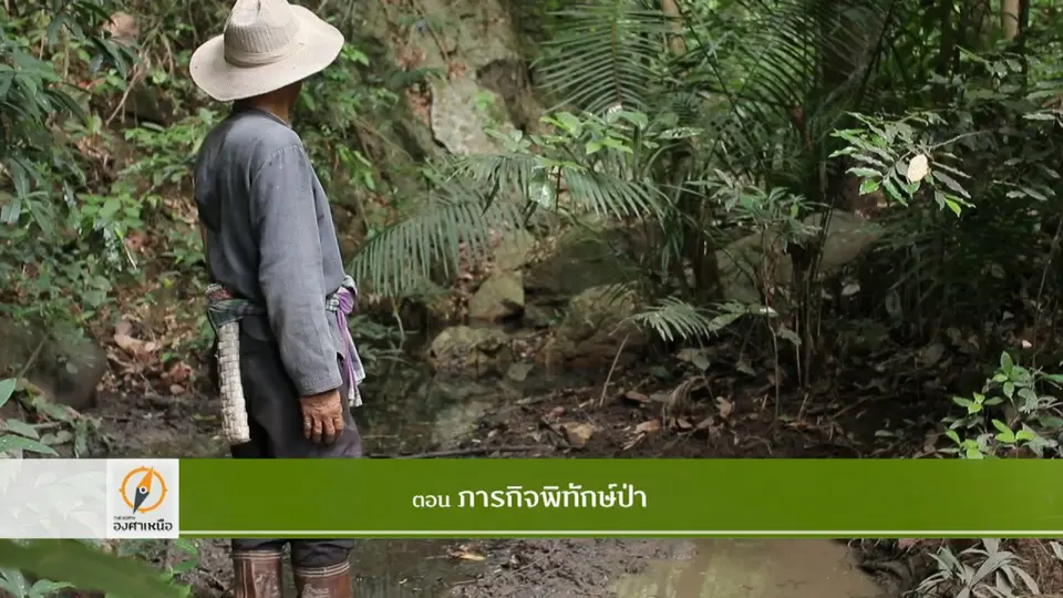 ภารกิจพิทักษ์ป่า​