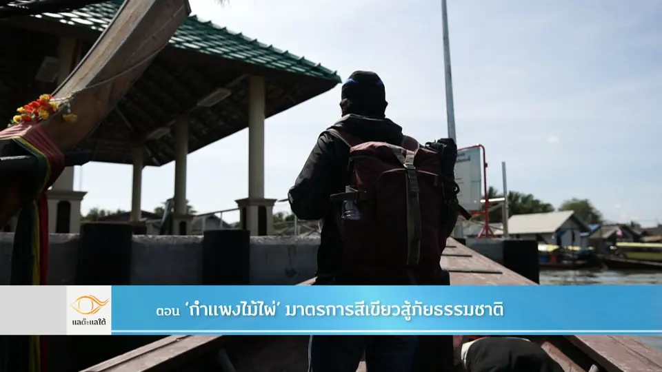 กำแพงไม้ไผ่ มาตรการสีเขียวสู้ภัยธรรมชาติ​